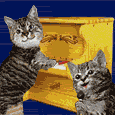 Created with 100% unregistered shareware